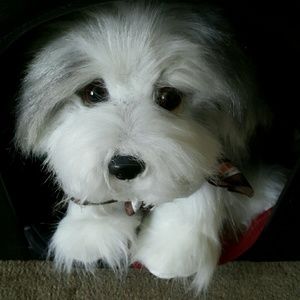 Meet your Posher, Margaret